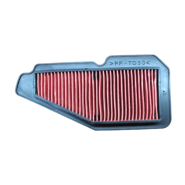 Air Filter Yamaha Ray